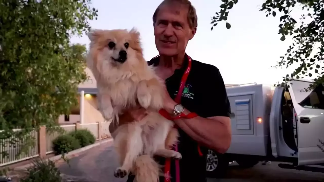 מה עושה ליגת רווחת בעלי החיים של אריזונה?